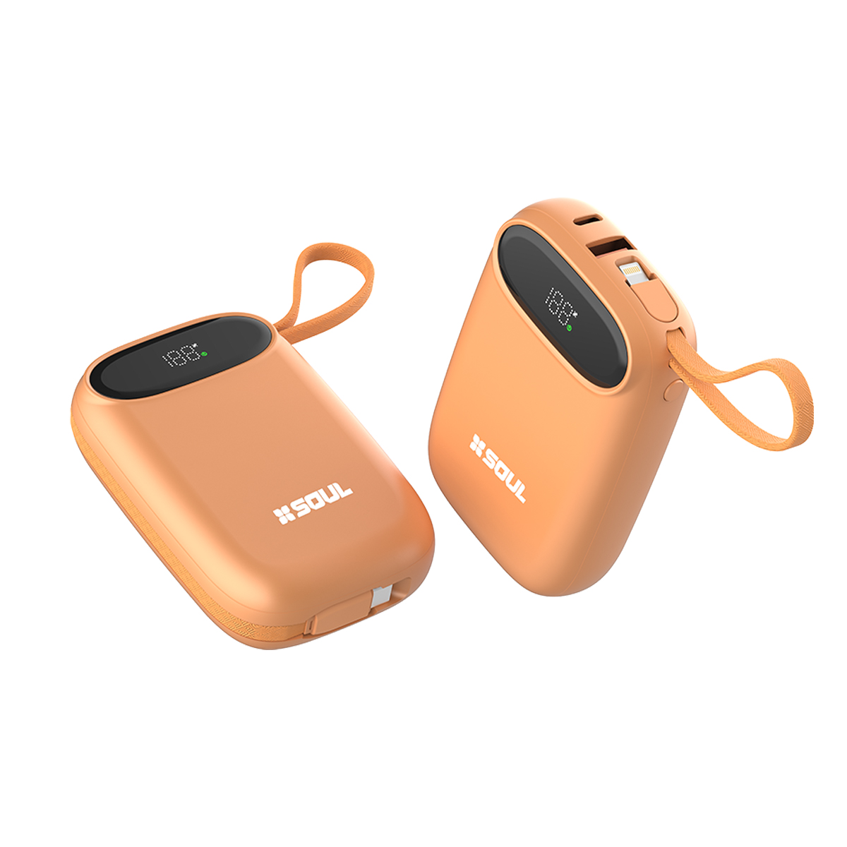 Power Bank Pro 100 (10.000 & 20.000 mAh)